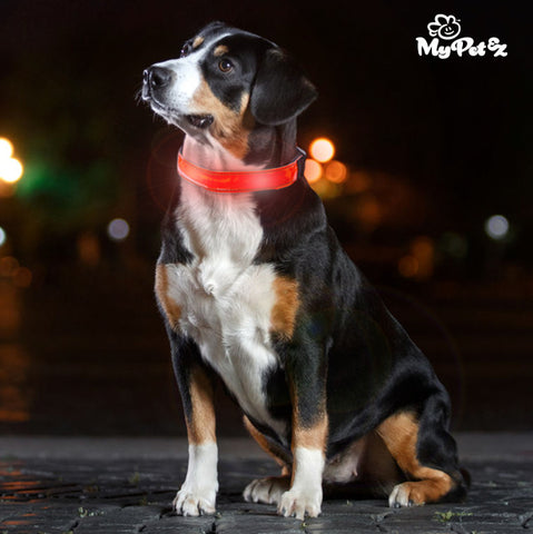 My Pet EZ LED Dog Collar