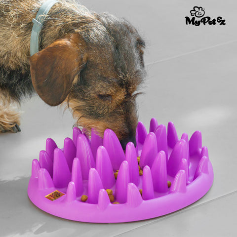 Interactive My Pet Ez Slow Food Bowl